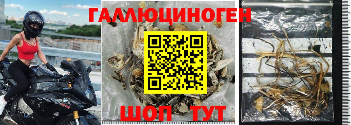Псилоцибиновые грибы прущие грибы  Вход с VPN  Скопин 