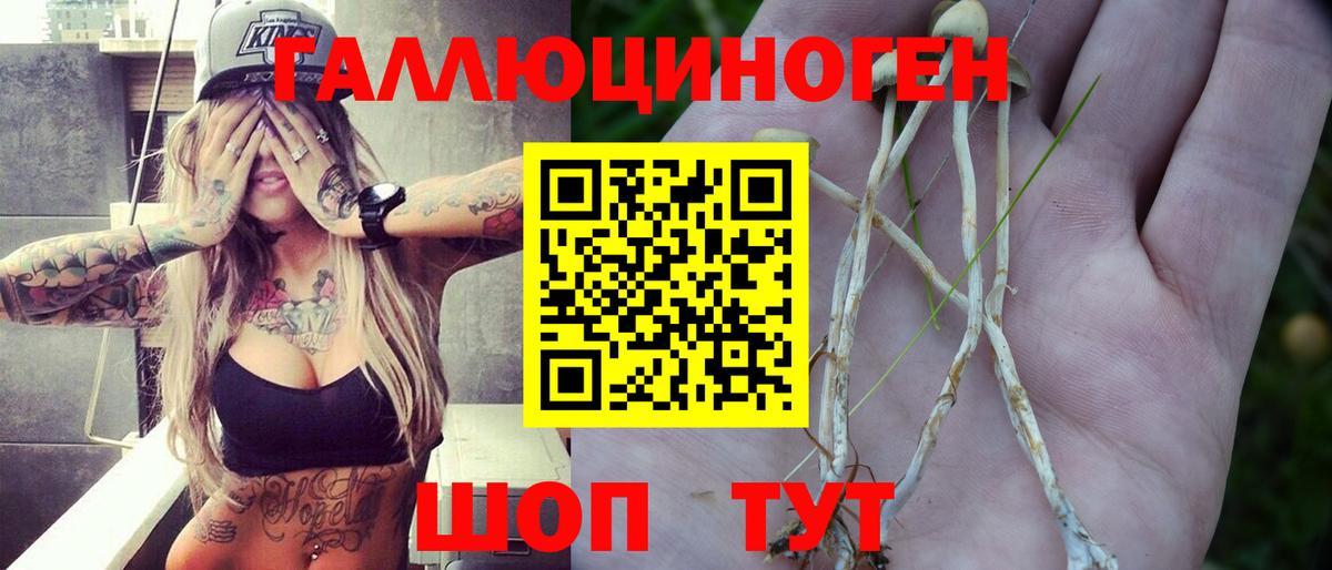 Псилоцибиновые грибы ЛСД Скопин